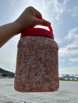 팜모닝 · 게시글 이미지