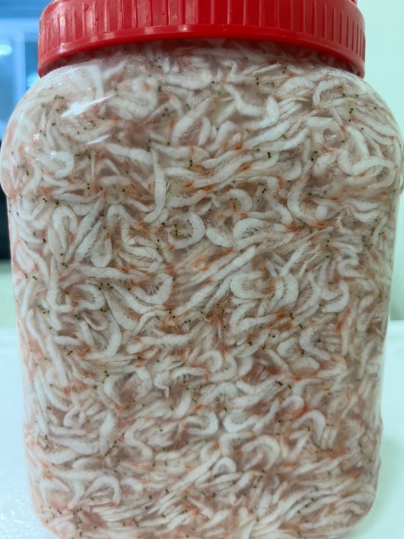 목포 물좋은수산님의 장터 판매 상품 [최상급 신안 햇 새우젓 (추젓) 3kg] 첨부 사진