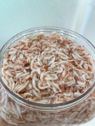 목포 물좋은수산님의 작성글 사진