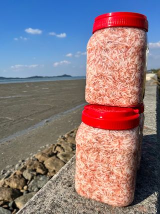 목포 물좋은수산님의 작성글 사진