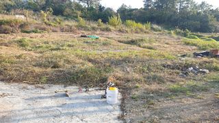 유자황칠님의 벼 · 영농일지 작성글 사진