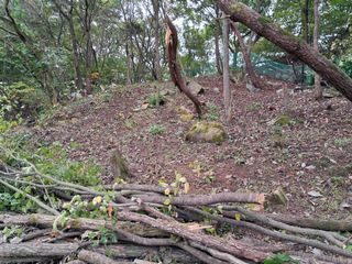 안창영님의 기타작물 · 영농일지 작성글 사진