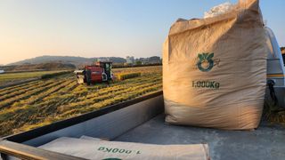 심지님의 벼 · 자유게시판 작성글 사진