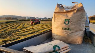 심지님의 벼 · 자유게시판 작성글 사진