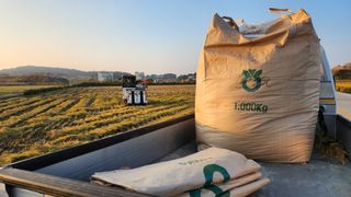 심지님의 벼 · 자유게시판 작성글 사진