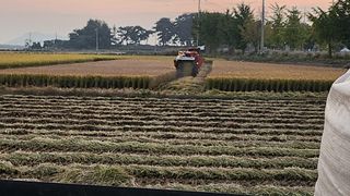 심지님의 가을 농장 자랑해주세요🧑‍🌾 · 참여글 작성글 사진