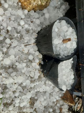 주희님의 자유주제 · 자유게시판 작성글 사진