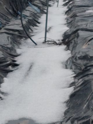 주희님의 자유주제 · 자유게시판 작성글 사진