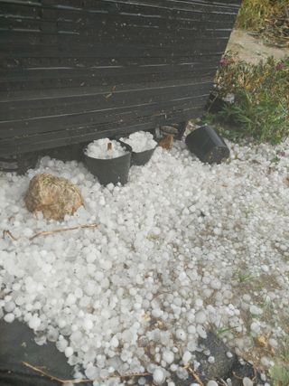 주희님의 자유주제 · 자유게시판 작성글 사진