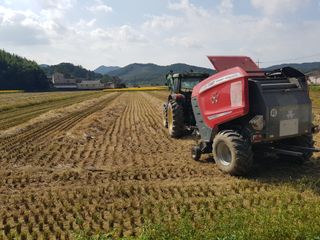 이행옥님의 기타작물 · 영농일지 작성글 사진