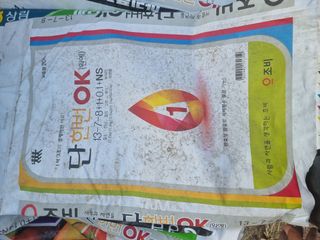 정영기대산축산농부♡님의 마늘 · 영농일지 작성글 사진