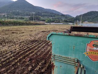 정영기대산축산농부♡님의 마늘 · 영농일지 작성글 사진