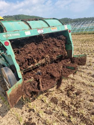 정영기대산축산농부♡님의 마늘 · 영농일지 작성글 사진