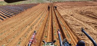 황광호님의 장터이야기 · 자유게시판 작성글 사진