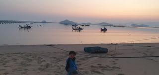 황광호님의 장터이야기 · 자유게시판 작성글 사진