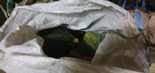 황광호님의 장터이야기 · 자유게시판 작성글 사진