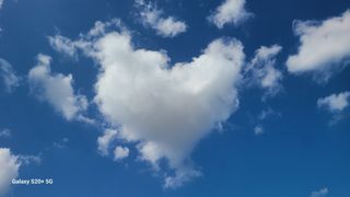 오정현님의 버섯 · 품종•종자 작성글 사진