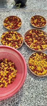 팜모닝 가을 농장 자랑해주세요🧑‍🌾·참여글 게시글 이미지