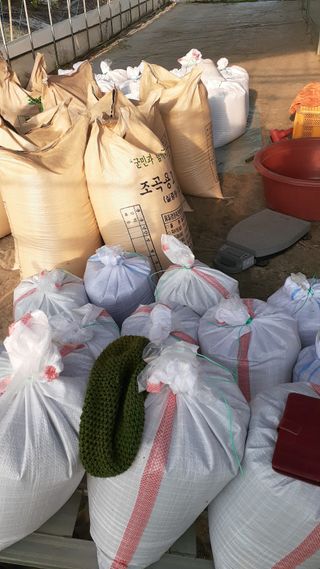 송광만님의 들깨 · 자유게시판 작성글 사진