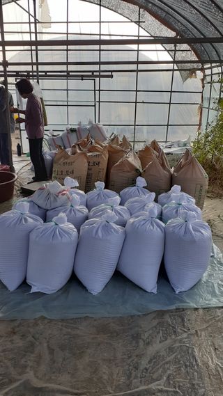 송광만님의 들깨 · 자유게시판 작성글 사진