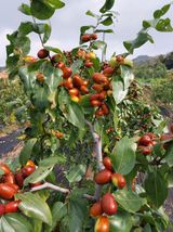 팜모닝 가을 농장 자랑해주세요🧑‍🌾·참여글 게시글 이미지