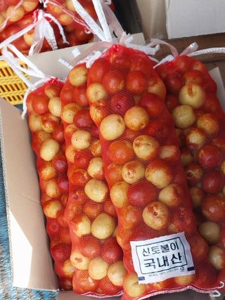 상복이님의 가을 농장 자랑해주세요🧑‍🌾 · 참여글 작성글 사진