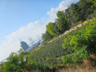 묽맑은 길 이영행님의 가을 농장 자랑해주세요🧑‍🌾 · 참여글 작성글 사진