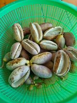 팜모닝 가을 농장 자랑해주세요🧑‍🌾·참여글 게시글 이미지