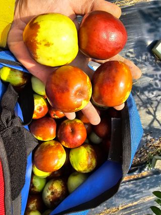 망운천지향토농원님의 자유주제 · 자유게시판 작성글 사진