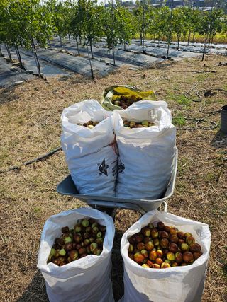 망운천지향토농원님의 자유주제 · 자유게시판 작성글 사진