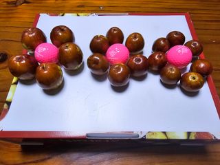 망운천지향토농원님의 자유주제 · 자유게시판 작성글 사진