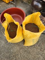 팜모닝 들깨·영농일지 게시글 이미지