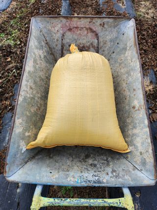 장재갑님의 들깨 · 영농일지 작성글 사진