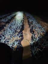 팜모닝 가을 농장 자랑해주세요🧑‍🌾·참여글 게시글 이미지