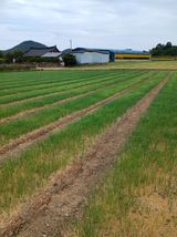 팜모닝 · 게시글 이미지