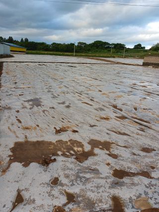 구춘모님의 작성글 사진