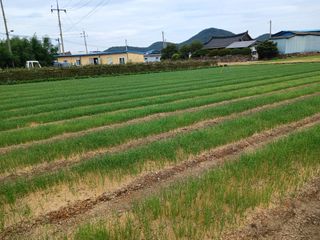 구춘모님의 작성글 사진