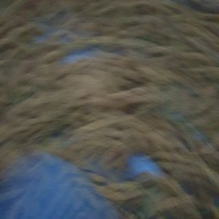 오명희 님의 가을 농장 자랑해주세요🧑‍🌾 · 참여글 작성글 사진