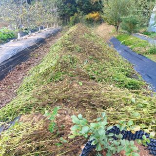 박광현님의 자유주제 · 사진전 작성글 사진