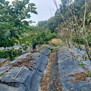 박광현님의 자유주제 · 사진전 작성글 사진