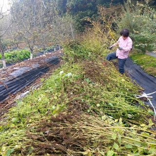 박광현님의 자유주제 · 사진전 작성글 사진