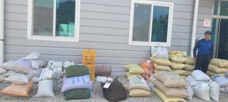 김영만님의 장터이야기 · 자유게시판 작성글 사진