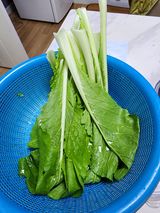 팜모닝 자유주제·자유게시판 게시글 이미지