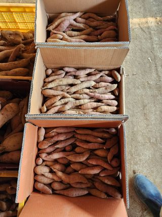 청송농장16987님의 자유주제 · 자유게시판 작성글 사진