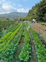 팜모닝 가을 농장 자랑해주세요🧑‍🌾·참여글 게시글 이미지