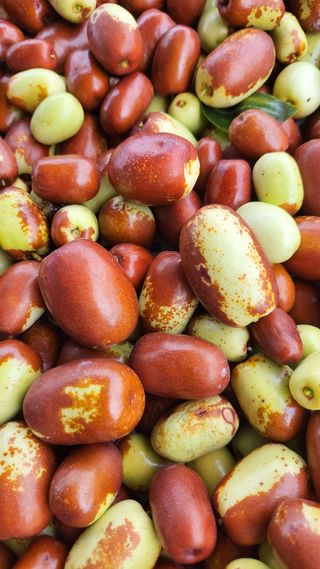 아차골님의 가을 농장 자랑해주세요🧑‍🌾 · 참여글 작성글 사진