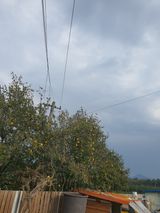 팜모닝 · 게시글 이미지