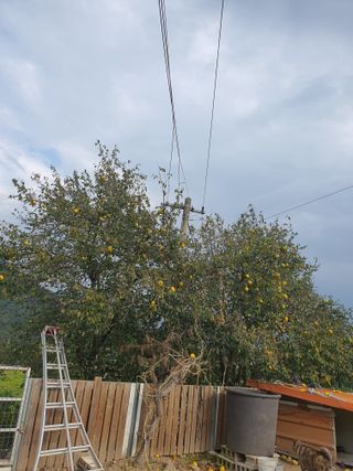 김영복님의 작성글 사진