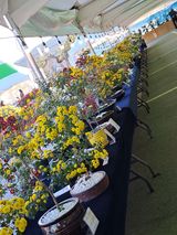 팜모닝 가을 농장 자랑해주세요🧑‍🌾·참여글 게시글 이미지