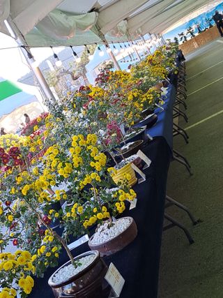 강정희님의 가을 농장 자랑해주세요🧑‍🌾 · 참여글 작성글 사진